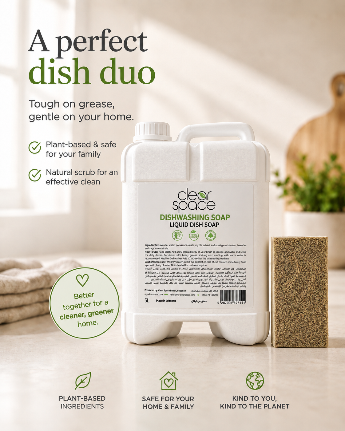 Dishwashing Duo